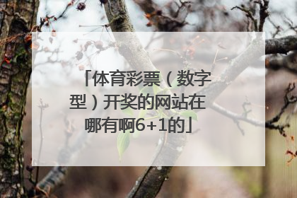 体育彩票（数字型）开奖的网站在哪有啊6+1的