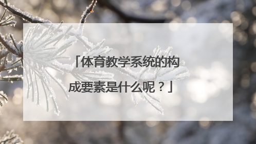 体育教学系统的构成要素是什么呢？