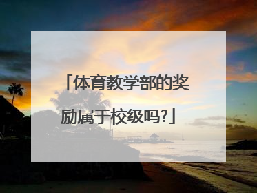 体育教学部的奖励属于校级吗?