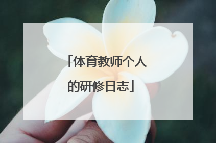 体育教师个人的研修日志