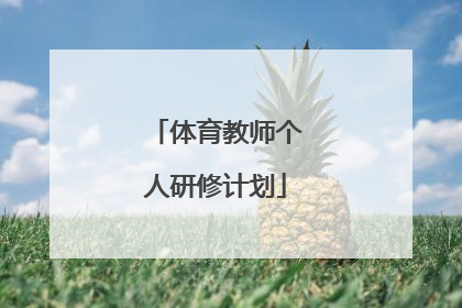 体育教师个人研修计划