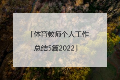 体育教师个人工作总结5篇2022