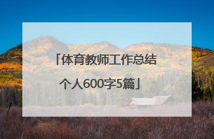 体育教师工作总结个人600字5篇