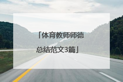 体育教师师德总结范文3篇