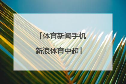 「体育新闻手机新浪体育中超」体育新闻新浪网新浪体育直播