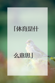 体育是什么意思