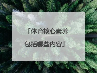 「体育核心素养包括哪些内容」高中体育核心素养包括哪些内容