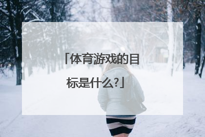 体育游戏的目标是什么?