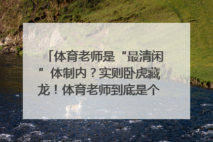 体育老师是“最清闲”体制内？实则卧虎藏龙！体育老师到底是个怎样的存在？