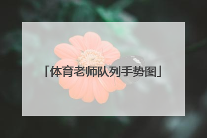 体育老师队列手势图