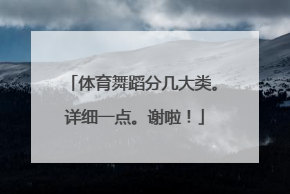 体育舞蹈分几大类。详细一点。谢啦！