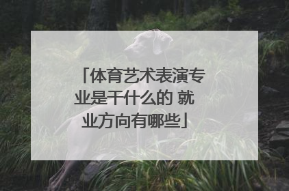 体育艺术表演专业是干什么的 就业方向有哪些