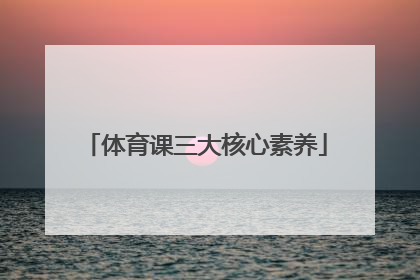 「体育课三大核心素养」体育课核心素养评价