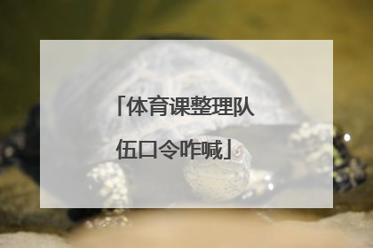 体育课整理队伍口令咋喊