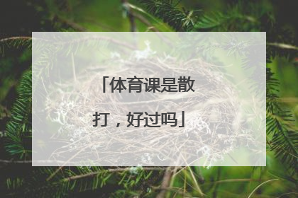 体育课是散打，好过吗