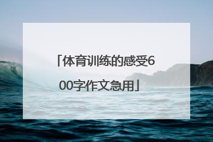 体育训练的感受600字作文急用