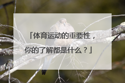 体育运动的重要性，你的了解都是什么？