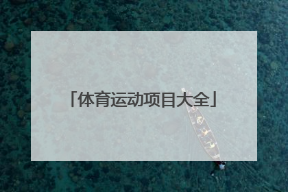 「体育运动项目大全」运动的项目