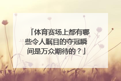 体育赛场上都有哪些令人瞩目的夺冠瞬间是万众期待的？