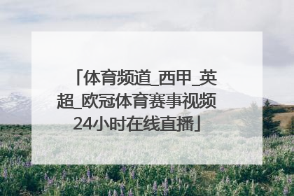 体育频道_西甲_英超_欧冠体育赛事视频24小时在线直播