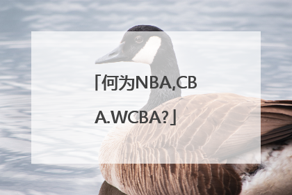 何为NBA,CBA.WCBA?