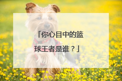 你心目中的篮球王者是谁？