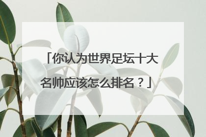 你认为世界足坛十大名帅应该怎么排名？