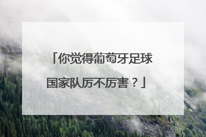 你觉得葡萄牙足球国家队厉不厉害？