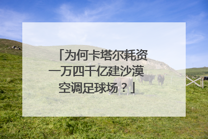 为何卡塔尔耗资一万四千亿建沙漠空调足球场？