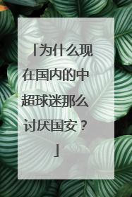 为什么现在国内的中超球迷那么讨厌国安？