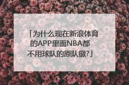 为什么现在新浪体育的APP里面NBA都不用球队的原队徽?