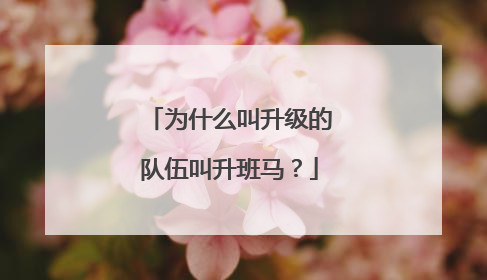 为什么叫升级的队伍叫升班马？