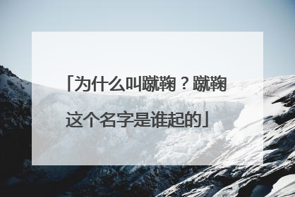 为什么叫蹴鞠？蹴鞠这个名字是谁起的