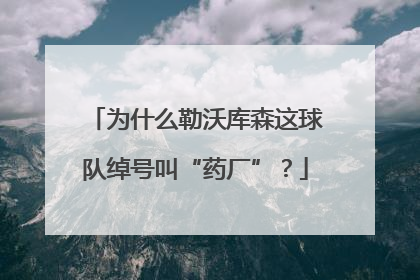 为什么勒沃库森这球队绰号叫“药厂”？