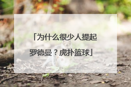 为什么很少人提起罗德曼？虎扑篮球