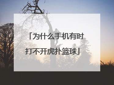 为什么手机有时打不开虎扑篮球