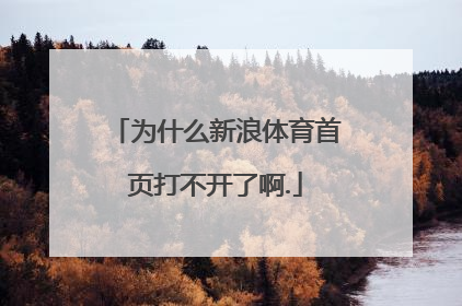 为什么新浪体育首页打不开了啊.