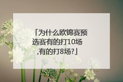 为什么欧锦赛预选赛有的打10场,有的打8场?