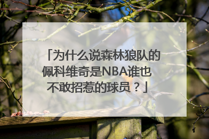 为什么说森林狼队的佩科维奇是NBA谁也不敢招惹的球员？