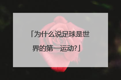 为什么说足球是世界的第一运动?