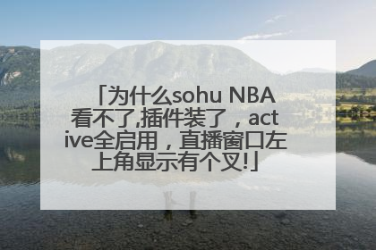 为什么sohu NBA看不了,插件装了，active全启用，直播窗口左上角显示有个叉!