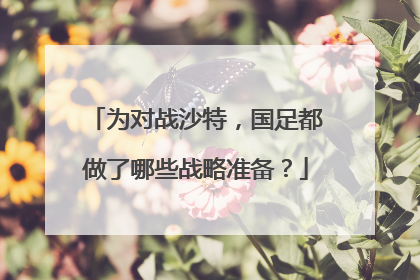 为对战沙特，国足都做了哪些战略准备？