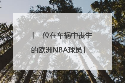 一位在车祸中丧生的欧洲NBA球员