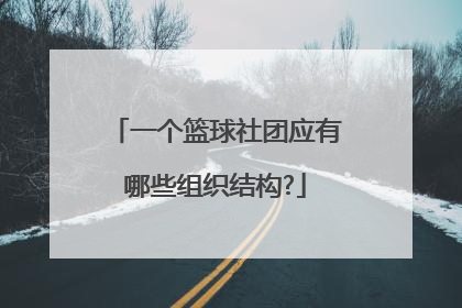 一个篮球社团应有哪些组织结构?