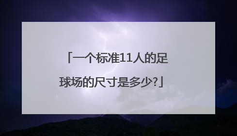 一个标准11人的足球场的尺寸是多少?