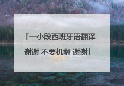 一小段西班牙语翻译 谢谢 不要机翻 谢谢