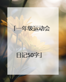 一年级运动会日记50字