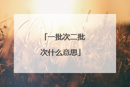 一批次二批次什么意思