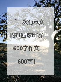 一次有意义的打篮球比赛600字作文600字