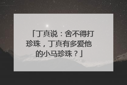 丁真说：舍不得打珍珠，丁真有多爱他的小马珍珠？